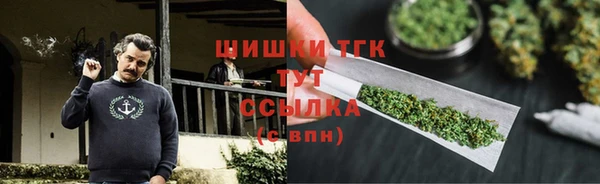 Альфа ПВП Каменка