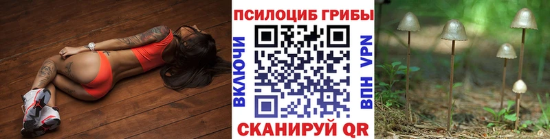 Псилоцибиновые грибы мухоморы  Купить  Кизилюрт 
